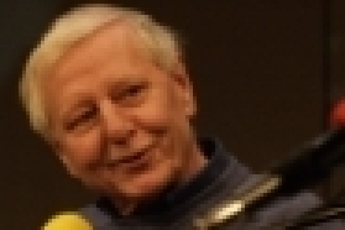 [title]