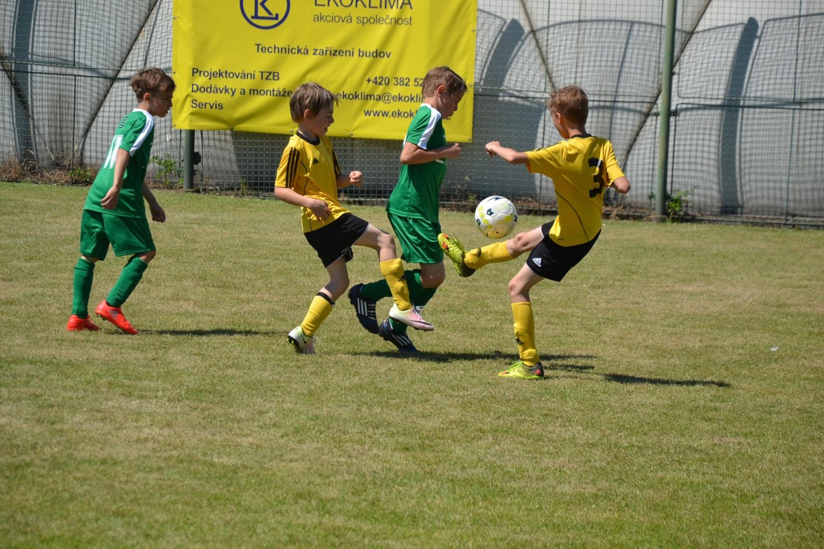 Víte, který sport má v Česku nejpočetnější členskou základnu? Fotbal 359 614, atletika 84 817 a florbal 77 992 Víte, který sport má v Česku nejpočetnější členskou základnu? Fotbal 359 614, atletika 84 817 a florbal 77 992