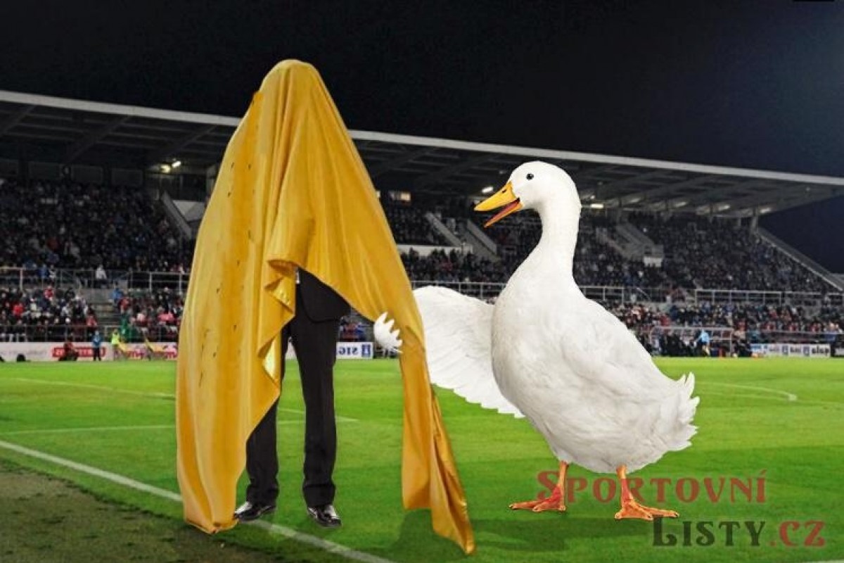 Ivo Kaderka posiluje tým Davida Trundy