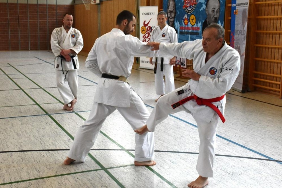 Stáž Wof Karate a Kobudo - Německo