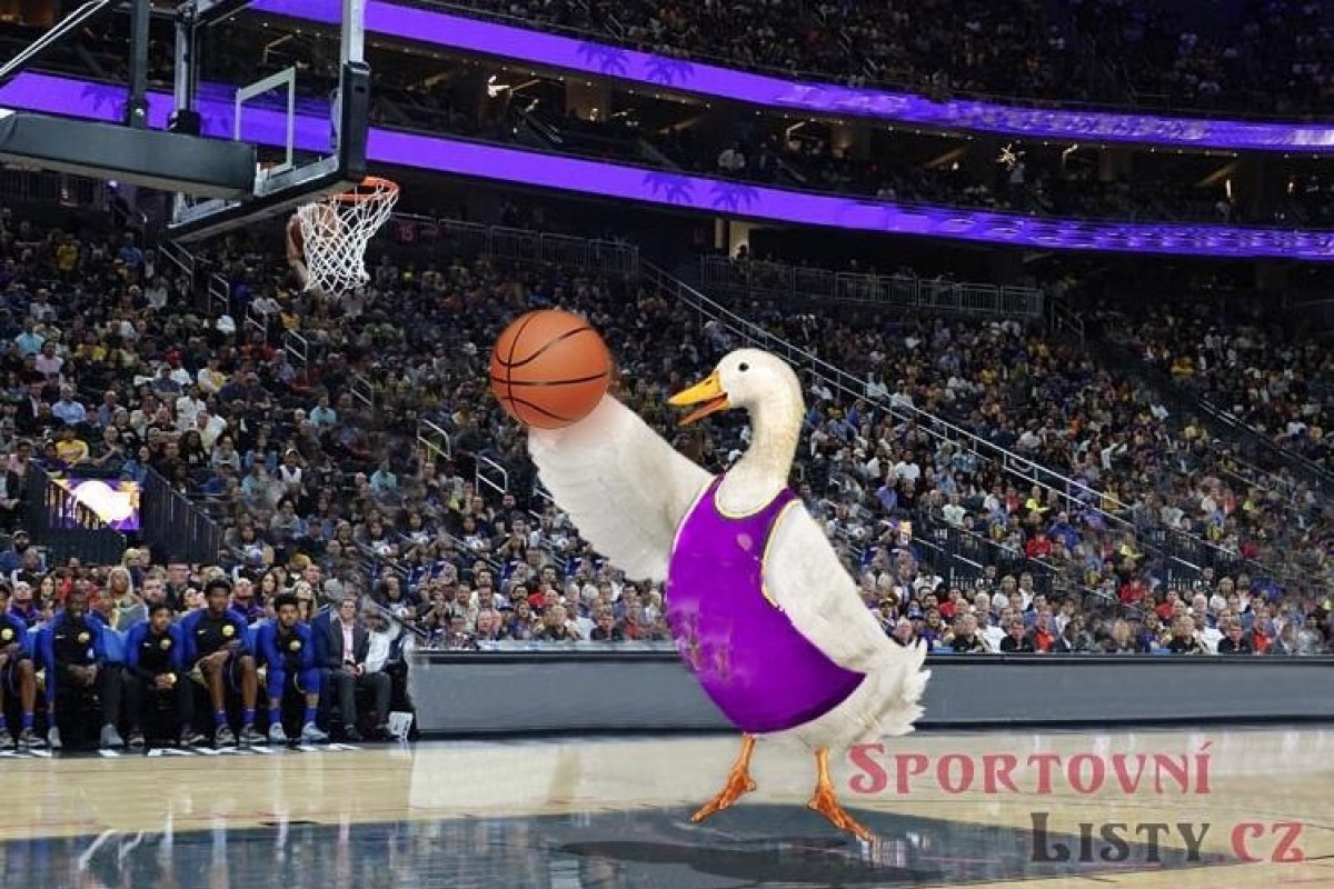 Jiří Welsch přijal nabídku Národní sportovní agentury