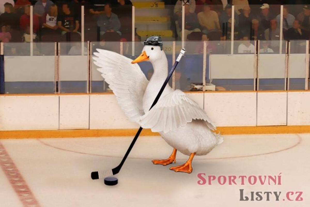 Jaromír Jágr znovu šokuje: důchod? To slovo nezná!