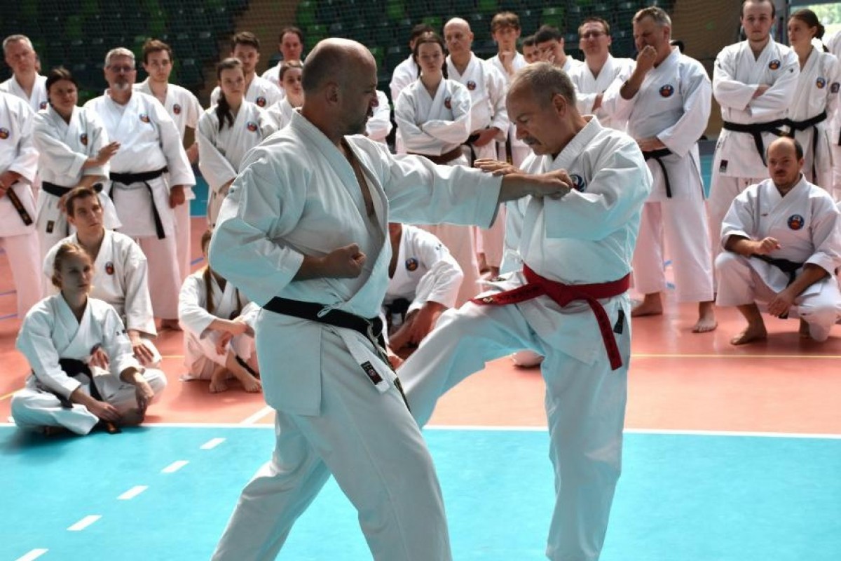 Mezinárodní stáž WOF Okinawa Shorin-ryu Karate v Polsku